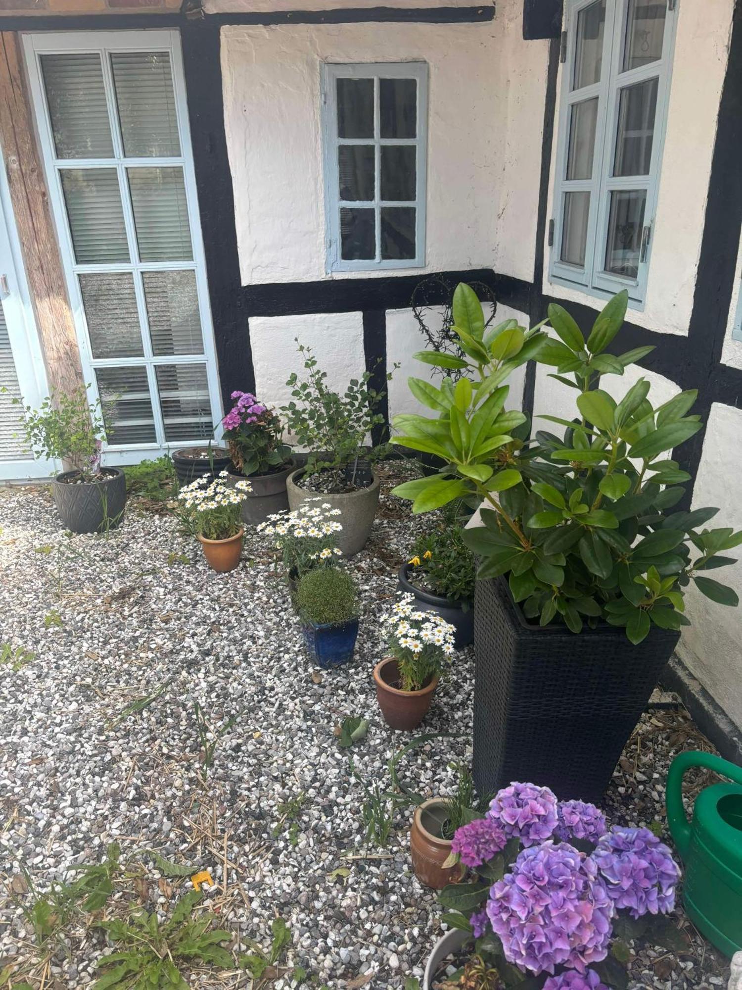 Troldehuset Villa Богенсе Екстериор снимка
